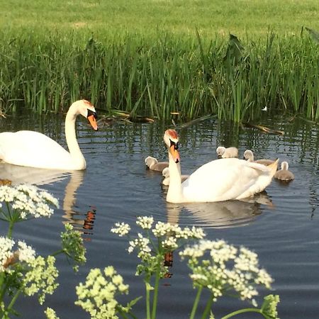 Friesland-Cottage Molkwerum Dış mekan fotoğraf