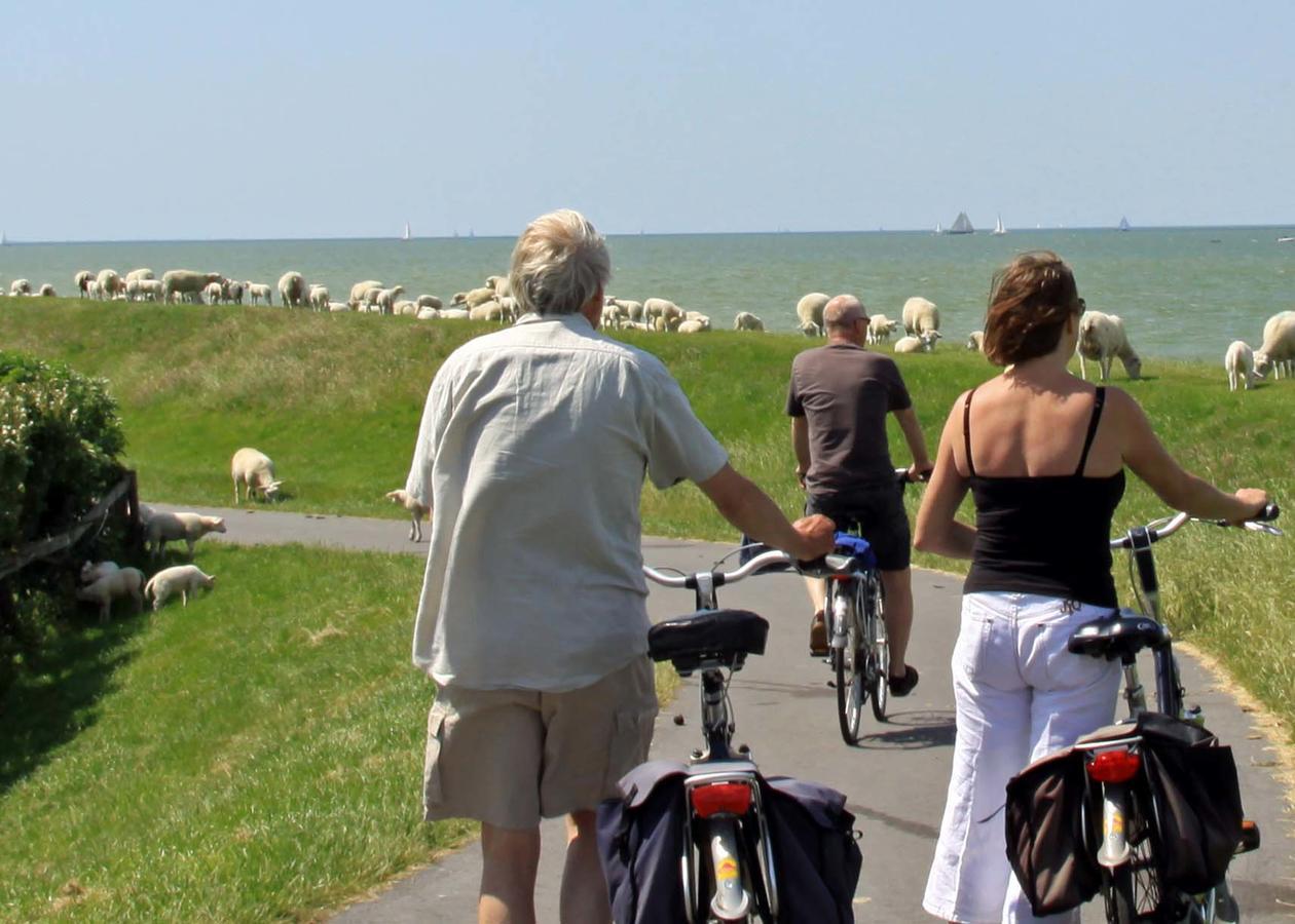 Friesland-Cottage Molkwerum Dış mekan fotoğraf