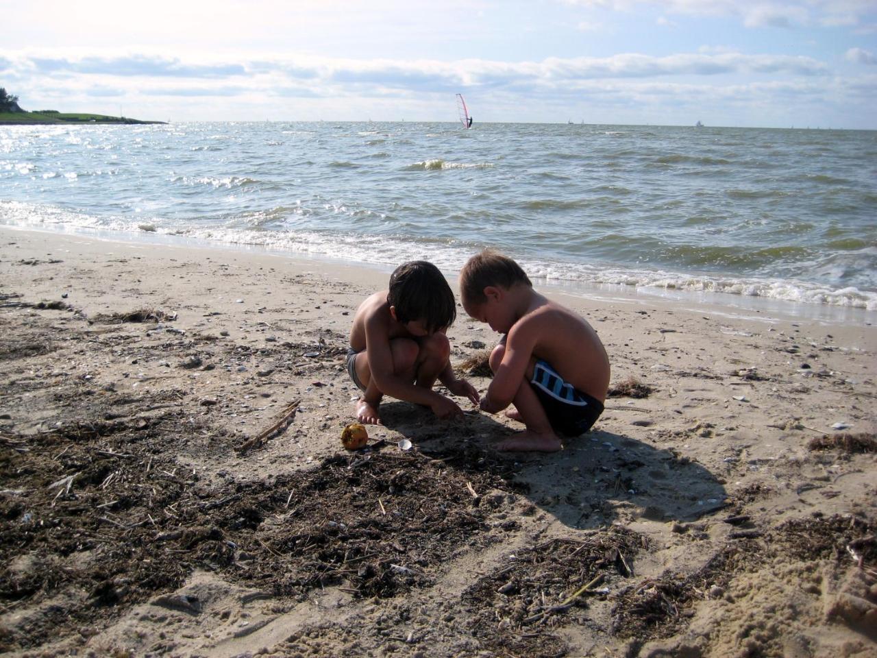 Friesland-Cottage Molkwerum Dış mekan fotoğraf